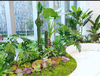 綿陽植物租賃丨寫字樓大堂植物造景