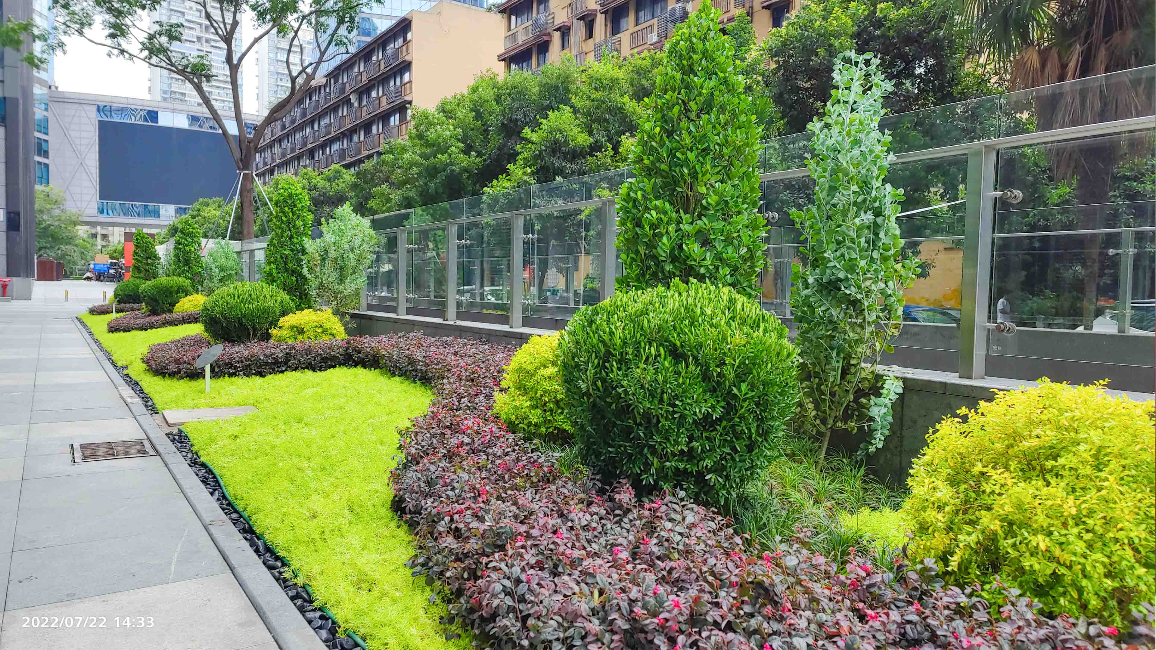 成都室外綠化設計丨喜年廣場綠化帶改造